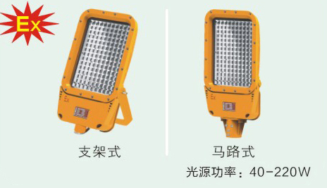 BZD-158-03系列防爆免维护LED泛光灯(ⅡC)