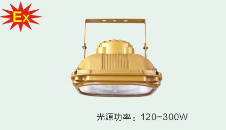 SBD-1130系列免维护节能防爆泛光灯(ⅡC)
