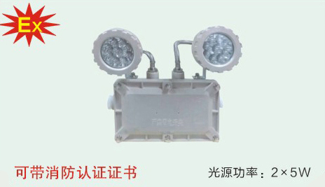 BXW6229系列节能防爆应急工作灯(ⅡB)