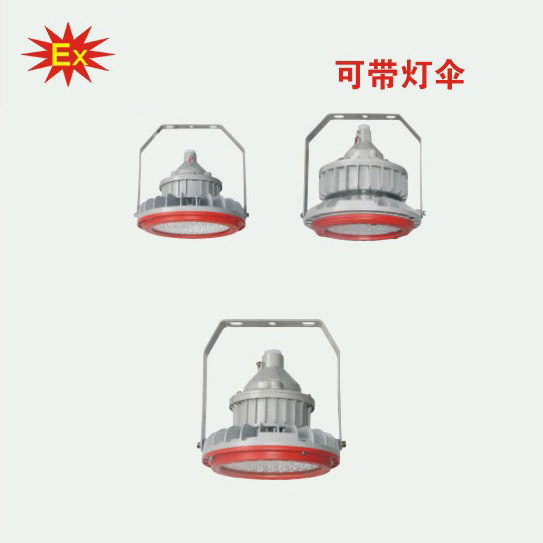 BZD-158-101系列防爆免维护LED照明灯(ⅡC)