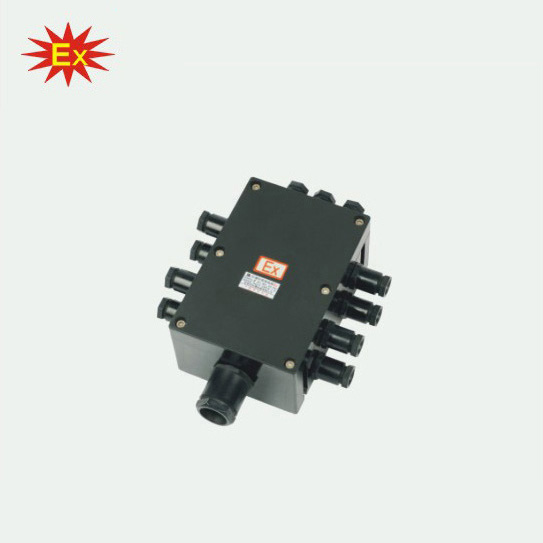 BXJ8050系列防爆防腐接线箱(e)
